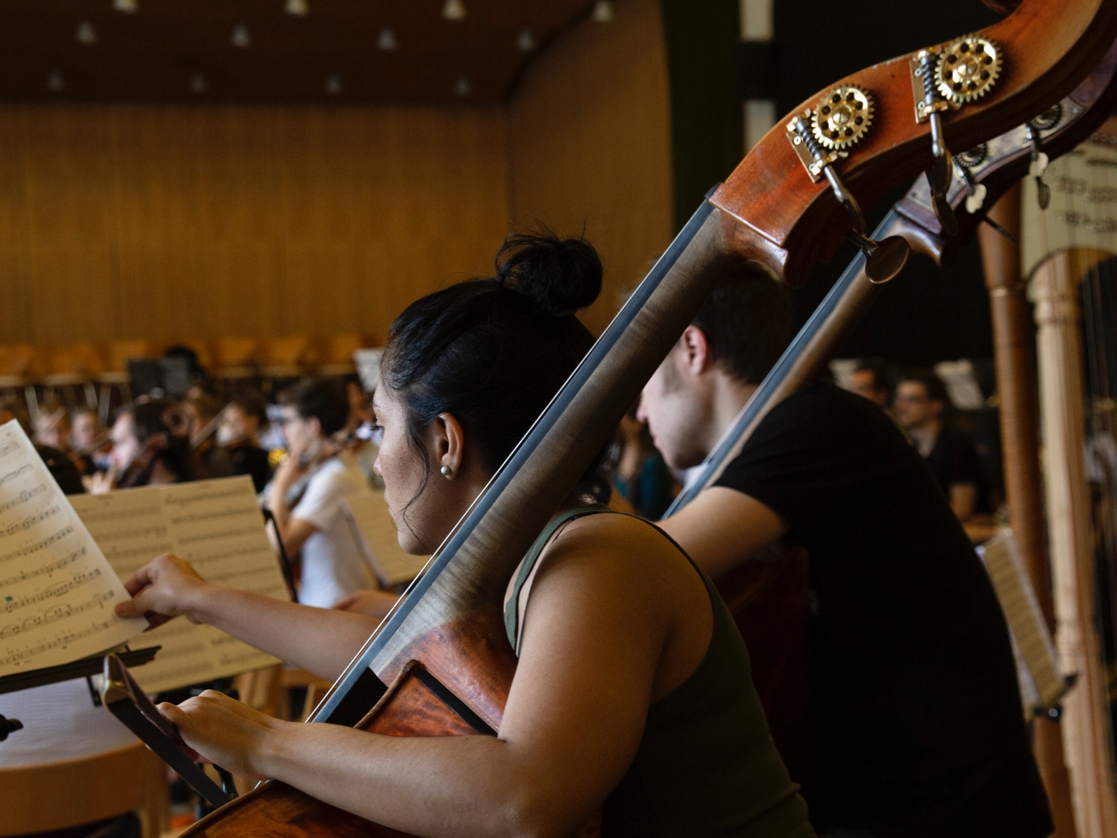 Schweizer Jugend-Sinfonie-Orchester | Modestas Pitrenas